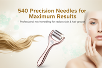 540 Needles Derma Roller Banner